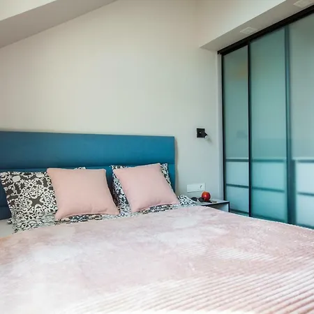 Penthouse In The Center 公寓